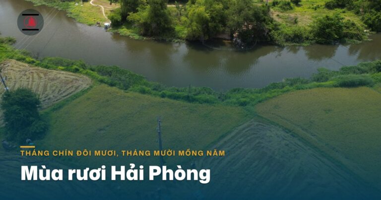 Mùa rươi Hải Phòng: “tháng chín đôi mươi, tháng mười mồng năm” và những món ăn đợi cả năm