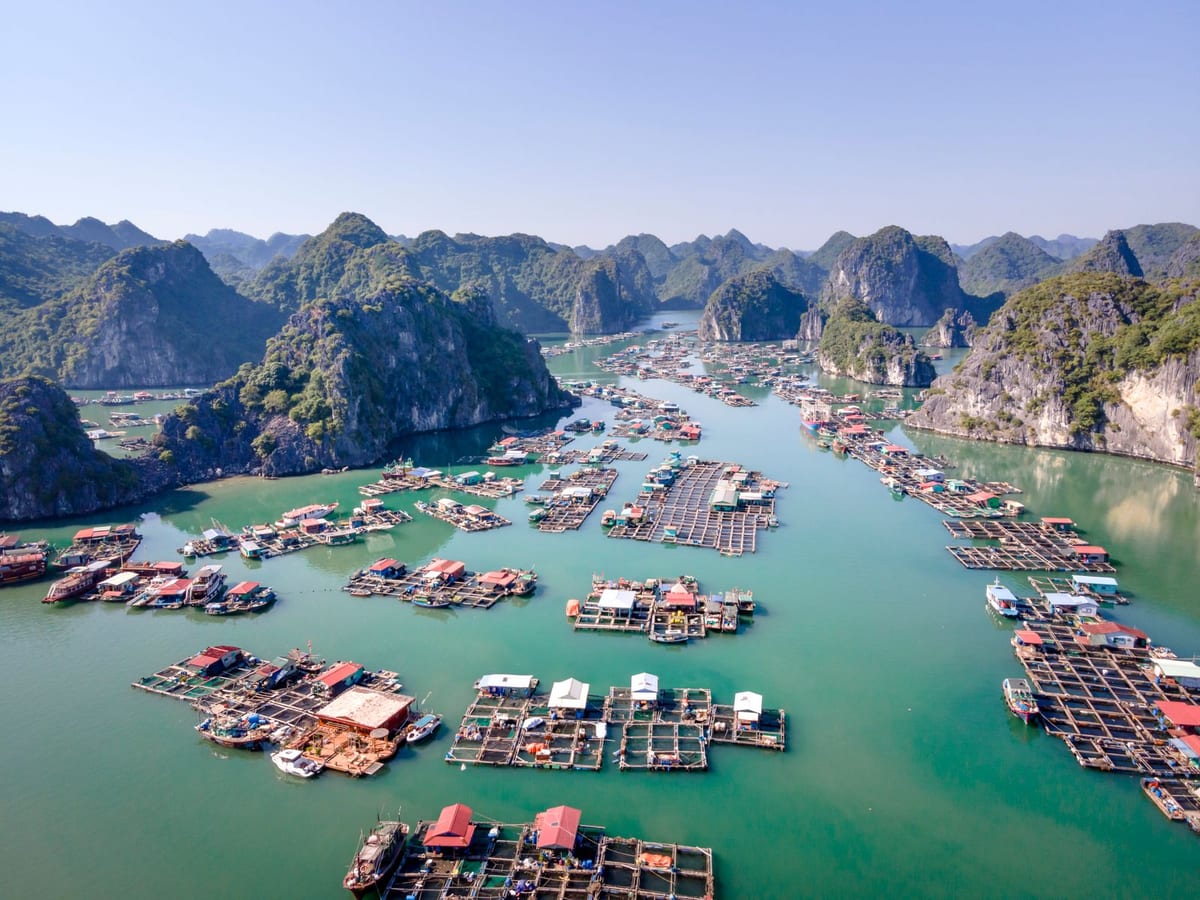 Vịnh Lan Hạ nhìn từ trên cao với núi đá và bè nổi (ảnh minh họa)